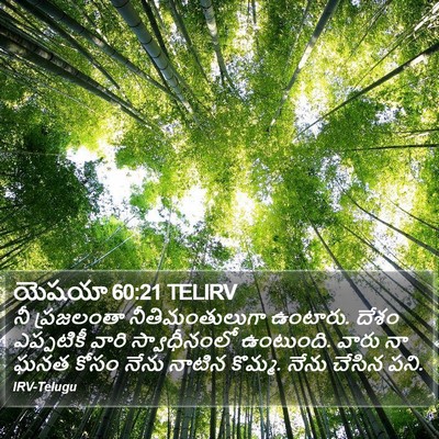 యెషయా 60:21 TELIRV Bible Verse Image