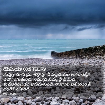 యెషయా 60:5 TELIRV Bible Verse Image