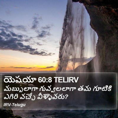 యెషయా 60:8 TELIRV Bible Verse Image