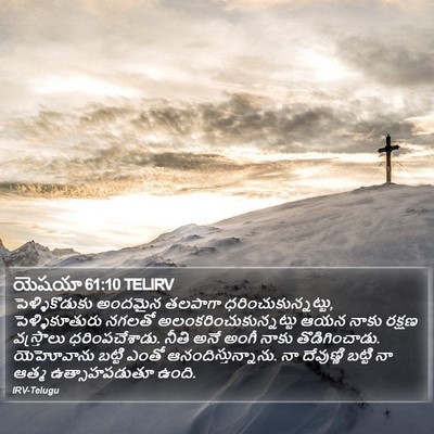 యెషయా 61:10 TELIRV Bible Verse Image