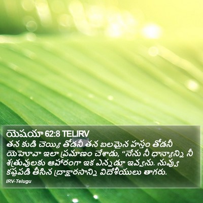 యెషయా 62:8 TELIRV Bible Verse Image