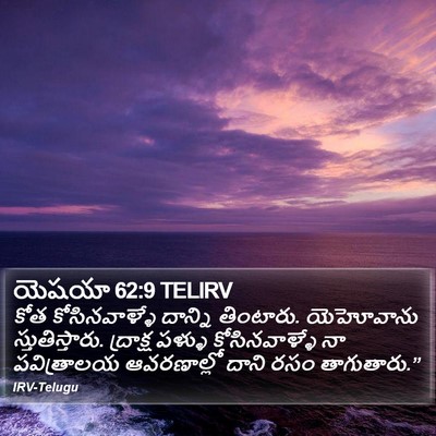 యెషయా 62:9 TELIRV Bible Verse Image