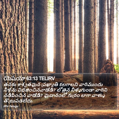 యెషయా 63:13 TELIRV Bible Verse Image