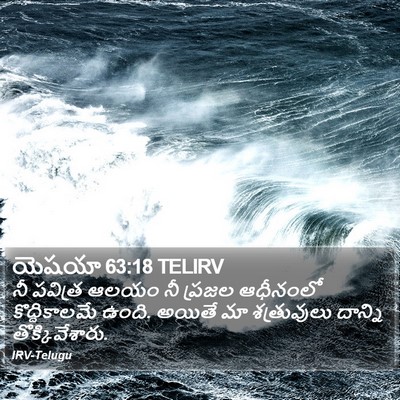యెషయా 63:18 TELIRV Bible Verse Image