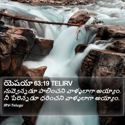 యెషయా 63:19 TELIRV Bible Verse Image