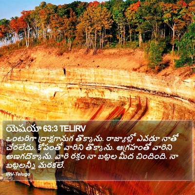 యెషయా 63:3 TELIRV Bible Verse Image