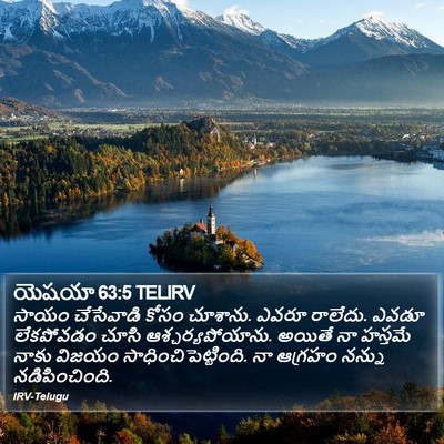 యెషయా 63:5 TELIRV Bible Verse Image