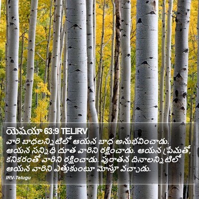 యెషయా 63:9 TELIRV Bible Verse Image