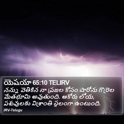 యెషయా 65:10 TELIRV Bible Verse Image