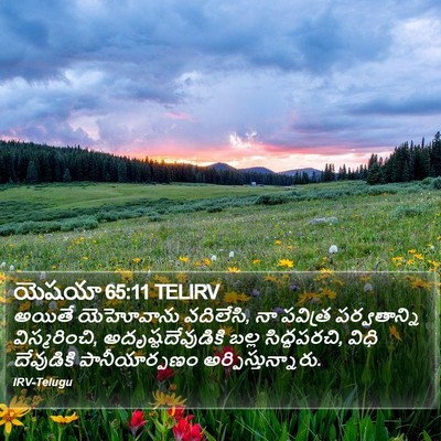 యెషయా 65:11 TELIRV Bible Verse Image