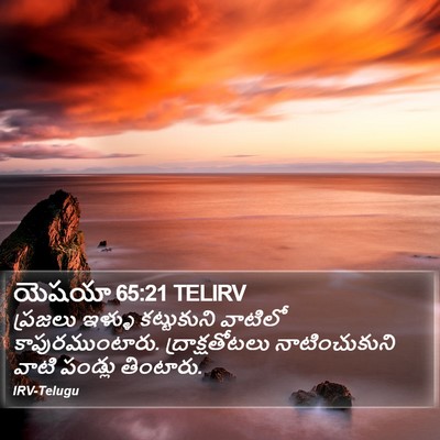 యెషయా 65:21 TELIRV Bible Verse Image