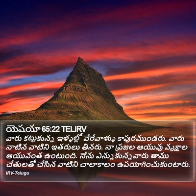 యెషయా 65:22 TELIRV Bible Verse Image