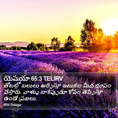 యెషయా 65:3 TELIRV Bible Verse Image