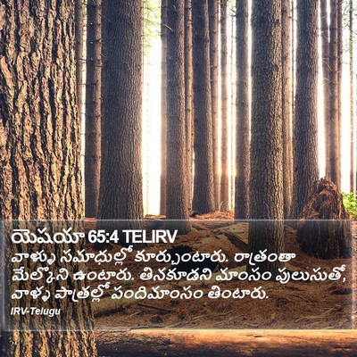 యెషయా 65:4 TELIRV Bible Verse Image