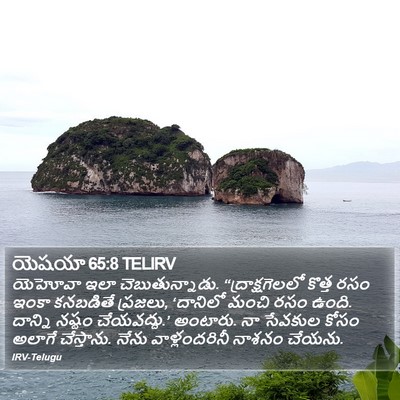 యెషయా 65:8 TELIRV Bible Verse Image