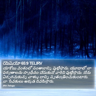యెషయా 65:9 TELIRV Bible Verse Image