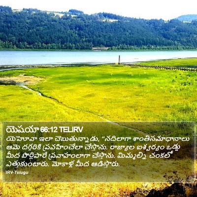 యెషయా 66:12 TELIRV Bible Verse Image