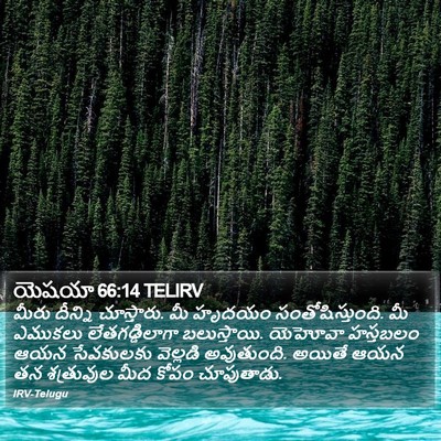 యెషయా 66:14 TELIRV Bible Verse Image