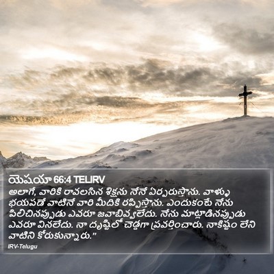 యెషయా 66:4 TELIRV Bible Verse Image