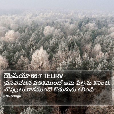 యెషయా 66:7 TELIRV Bible Verse Image