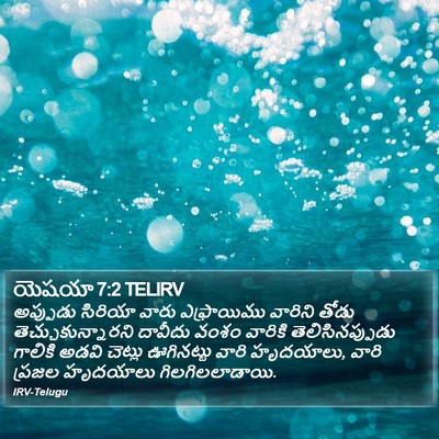 యెషయా 7:2 TELIRV Bible Verse Image