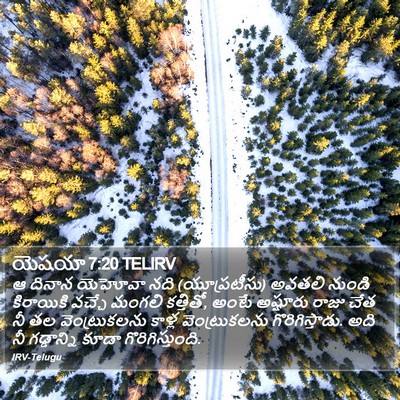 యెషయా 7:20 TELIRV Bible Verse Image