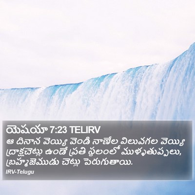 యెషయా 7:23 TELIRV Bible Verse Image