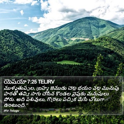 యెషయా 7:25 TELIRV Bible Verse Image
