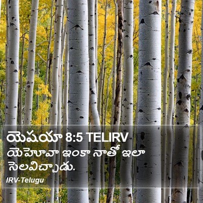 యెషయా 8:5 TELIRV Bible Verse Image
