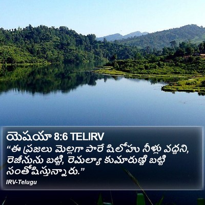 యెషయా 8:6 TELIRV Bible Verse Image
