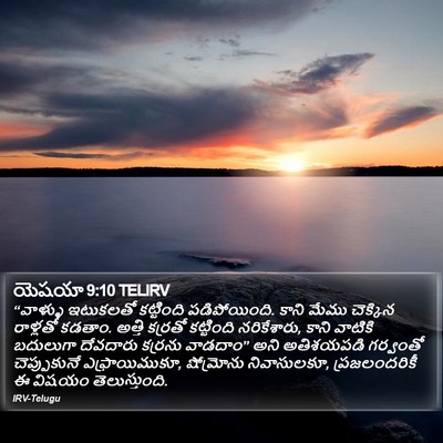 యెషయా 9:10 TELIRV Bible Verse Image