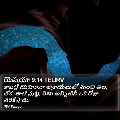 యెషయా 9:14 TELIRV Bible Verse Image