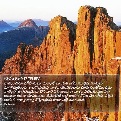 యెషయా 9:17 TELIRV Bible Verse Image