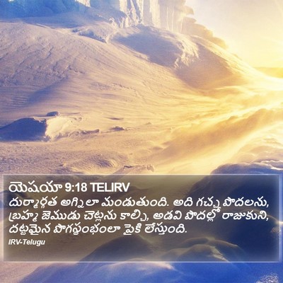 యెషయా 9:18 TELIRV Bible Verse Image