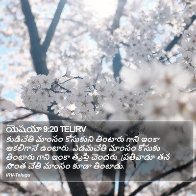 యెషయా 9:20 TELIRV Bible Verse Image