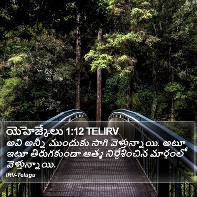యెహెజ్కేలు 1:12 TELIRV Bible Verse Image