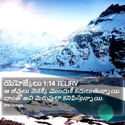 యెహెజ్కేలు 1:14 TELIRV Bible Verse Image