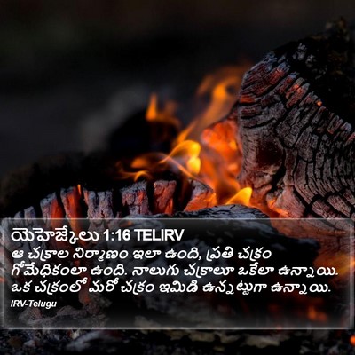 యెహెజ్కేలు 1:16 TELIRV Bible Verse Image