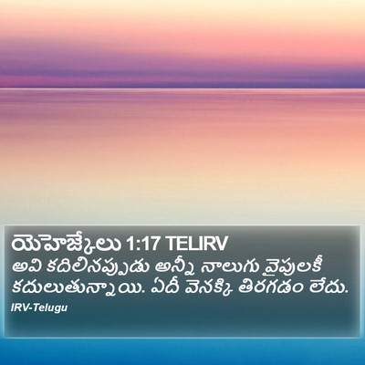 యెహెజ్కేలు 1:17 TELIRV Bible Verse Image