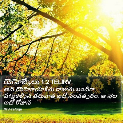 యెహెజ్కేలు 1:2 TELIRV Bible Verse Image