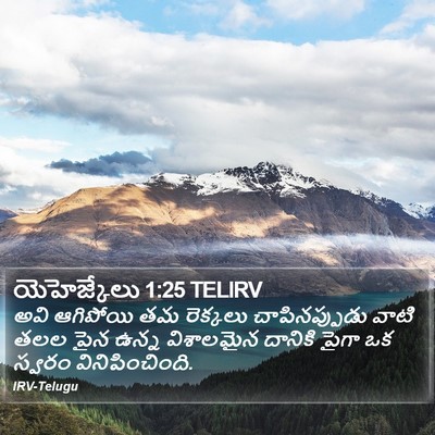 యెహెజ్కేలు 1:25 TELIRV Bible Verse Image