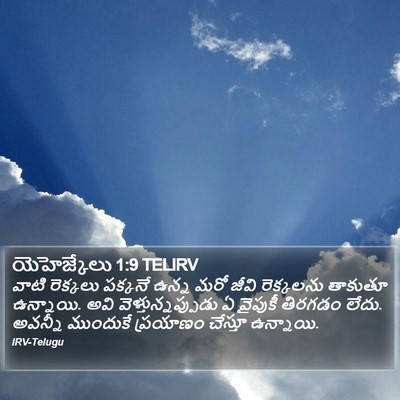 యెహెజ్కేలు 1:9 TELIRV Bible Verse Image
