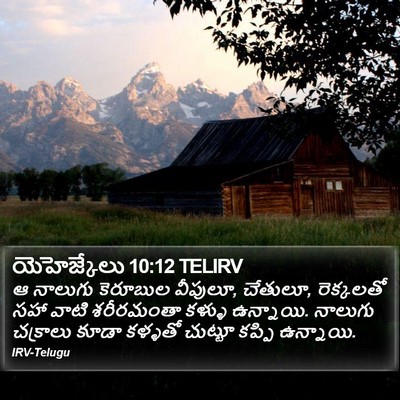 యెహెజ్కేలు 10:12 TELIRV Bible Verse Image