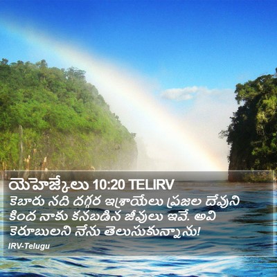 యెహెజ్కేలు 10:20 TELIRV Bible Verse Image