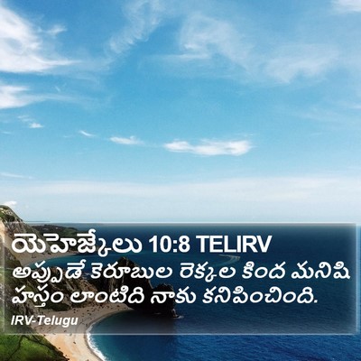 యెహెజ్కేలు 10:8 TELIRV Bible Verse Image
