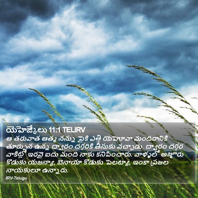 యెహెజ్కేలు 11:1 TELIRV Bible Verse Image
