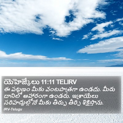 యెహెజ్కేలు 11:11 TELIRV Bible Verse Image