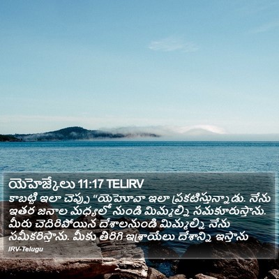 యెహెజ్కేలు 11:17 TELIRV Bible Verse Image