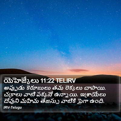 యెహెజ్కేలు 11:22 TELIRV Bible Verse Image