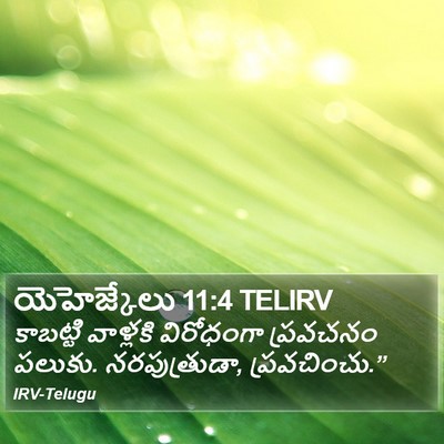 యెహెజ్కేలు 11:4 TELIRV Bible Verse Image
